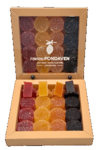 Assortiment de 16 pâtes de fruits
